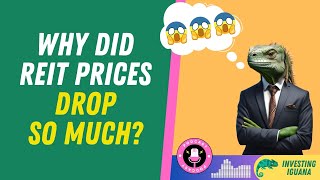 Why did REIT prices drop so much lately  🦖 TheInvestingIguana EP185 [upl. by Lokim34]