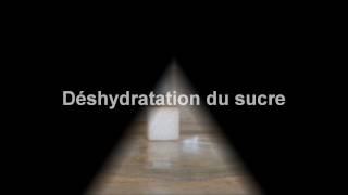 Déshydratation du sucre [upl. by Jenne]