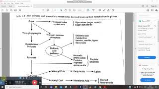 Biosynthetic Pathways part 6 [upl. by Haskins]