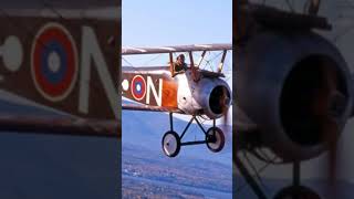 Sopwith Camel Fighter Plane [upl. by Derdlim]