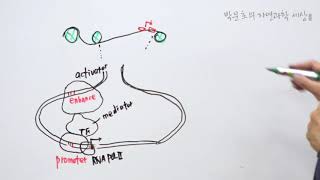 41Chromatin remodeling1 [upl. by Fortunio]