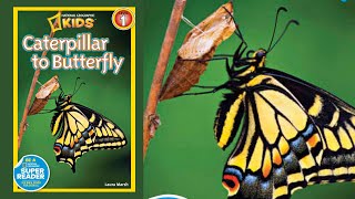 Caterpillar to butterfly national geographic  Science read aloud [upl. by Old]