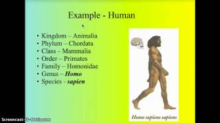 Taxonomy  Classification [upl. by Aneertak]