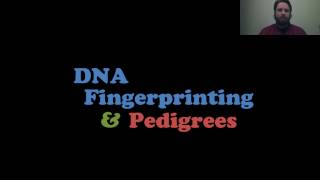 DNA Fingerprinting and Pedigrees [upl. by Sebastian689]