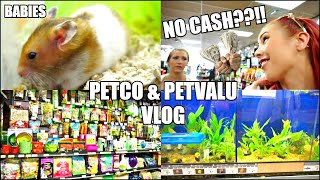 PETCO Hamsters amp Fish  PET STORE Vlog  Getting New Fish Plants [upl. by Anastatius]