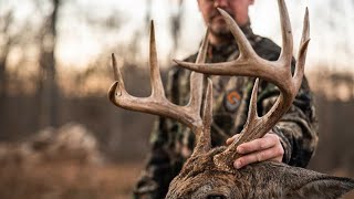 Giant BOW buck on PUBLIC LAND with TREE SADDLES and eBIKES [upl. by Erlin]