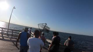 GIANT STING RAY HOOKED AT JONES BEACH [upl. by Rihaz]