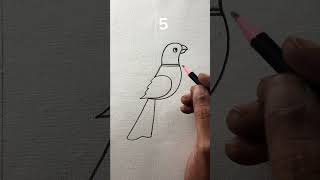 Simple and amazing birds drawing with numbers 5 [upl. by Thrasher454]