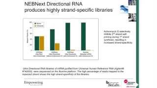 Biomek Automated NEBNext Ultra Directional RNA Library Prep Kit for Illumina [upl. by Araiet20]