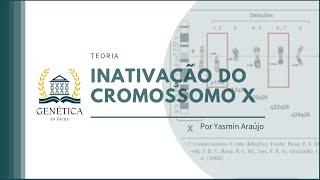 Teoria Inativação do Cromossomo X [upl. by Latsyrcal]