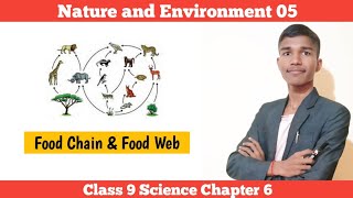 Food Chain amp Food Web  Nature and Environment 05  Class 9 Science Chapter 6 in Nepali [upl. by Schug]