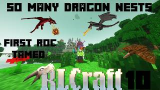 This Was The Most STUPID Decision EVER RLCraft 10 [upl. by Phenice]