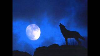 Wolf howling at night sound effect [upl. by Akived654]