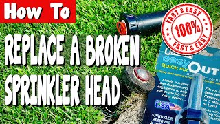 How to Replace a Broken Sprinkler Head  FAST and EASY [upl. by Yornek]