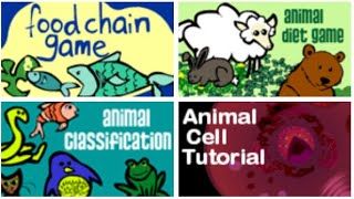 Food Chain games Learn food chain types using fun games [upl. by Ellecrag]