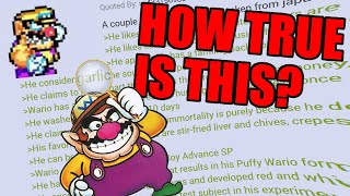 Investigating The Wario Greentext [upl. by Ziegler]