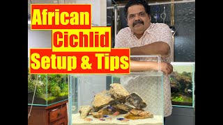 African Cichlid Fish  How to Setup an Aquarium  Mayur Devs Tips on Cichlid Fish Keeping HD1080p [upl. by Pouncey]