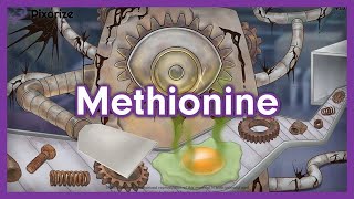 Methionine Amino Acids Mnemonic for MCAT [upl. by Keiko]