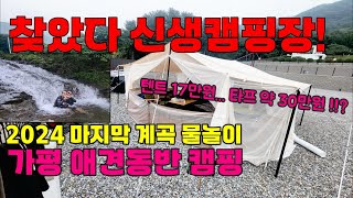 애견동반캠핑 신생 캠핑장 마지막 물놀이를 위해 계곡 인근 캠핑장 갑니다  ep9 가평 포레스트소울 캠핑장 [upl. by Lise897]