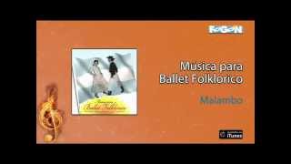 Música para Balet Folklórico  Malambo [upl. by Nilyak]