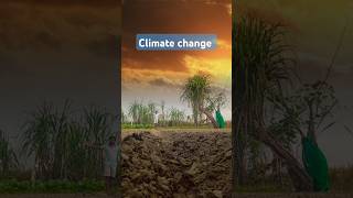 climate change ।।👍।। viralvideo viralshorts video music travel beach love comedy [upl. by Joab219]