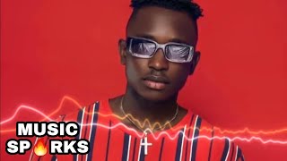 🔥Adfega  Frenemy 🎧  2022 SIERRA LEONE MUSIC 🇸🇱  Music Sparks [upl. by Anniken]