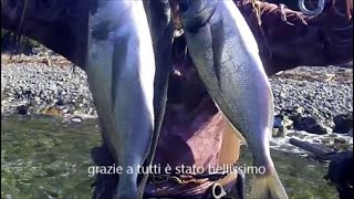 pesca sub del 5524 alba dal sale al corsaro due orate e un gaggia d oro [upl. by Dammahum]