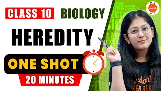 Heredity Class 10 One Shot  NCERT 10th Science Biology Chapter 9 Heredity And Evolution Cbse2024 [upl. by Sivrahc792]