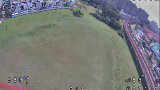 First Flight of 2019 Tests DalRC X212Foxeer F405BetaFlight 40Speedybee VTXDVRFrSky RXSR RX [upl. by Steffane]