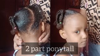 2 part pigtails braided hairstyle for kids hairstyle [upl. by Aivull]