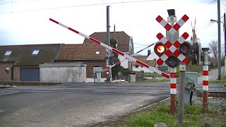 Spoorwegovergang Tournai B  Railroad crossing  Passage à niveau [upl. by Anaeda]