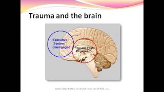 Eye Movement Desensitization and Reprocessing EMDR and PTSD [upl. by Caroline]