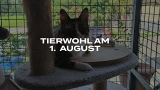 Tierwohl am 1 August [upl. by Aratas731]