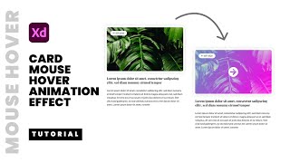 Adobe XD Hover Effect Animation Design amp Prototype Tutorial [upl. by Aerdnod]