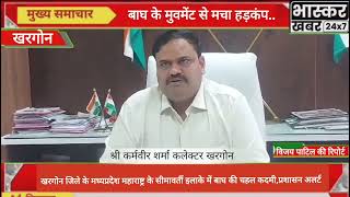 खरगोन मप्रमहाराष्ट्र के सीमावर्ती इलाके में बाघ की चहलकदमीबाघ को ट्रेस करने के प्रयास तेज [upl. by Narot65]