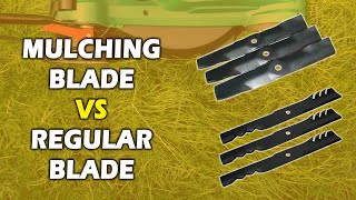 Mulching Blade vs Regular Blade A Comprehensive Comparison Which Reigns Supreme [upl. by Sidoon]