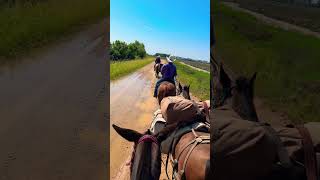 Heading towards Kennett Missouri LLManQuest Arkansas Piggott Horses LongRiders [upl. by Worlock113]