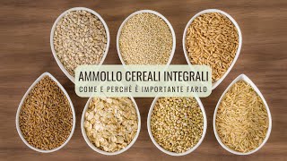 AMMOLLO CEREALI INTEGRALI COME E PERCHÈ È IMPORTANTE FARLO  Veglife Channel [upl. by Yllom]