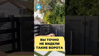 ВЫ ТОЧНО НЕ ВИДЕЛИ такие ВОРОТА [upl. by Enna]