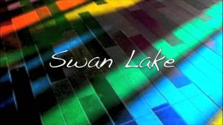 Swan Lake Remix [upl. by Lose]