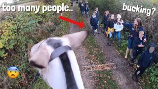 uh oh soo many people  GO PRO HACK  equinemollie [upl. by Jerrold]