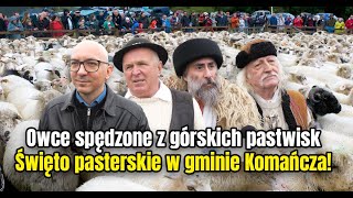 Owce spędzone z górskich pastwisk Święto pasterskie w gminie Komańcza [upl. by Theodora579]