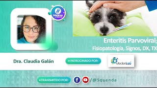 Enteritis Parvoviral Fisiopatología Signos DX TX  Dra Claudia Galán [upl. by Leunamnauj116]