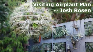 Visiting Airplant Man  Josh Rosen Los Angeles [upl. by Raynata]