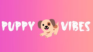 Vibration Sound Your 🐱 Puppy Vibration 🐶 [upl. by Aviv]