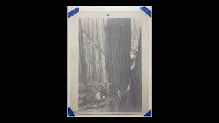 Gum Bichromate Printing Untitled 1 from quotWhite Rabbitquot series [upl. by Enyawed]