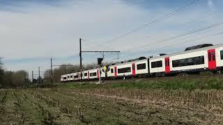 NMBS SNCB  AM08 MR08  Siemens Desiro ML  L53 Dendermonde  Brttrainz  Siemens  BE [upl. by Simdars86]