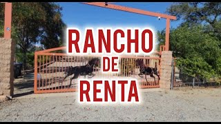 🐴🐴🐴 RANCHO de R E N T A en Perris Ca 1 ACRE 🌴🌴🌴 [upl. by Heimer]