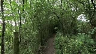 Warlingham Footpath 54  Caterham amp Warlingham Rights of Way [upl. by Ailasor]