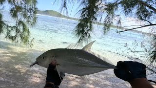 Shore Casting during trip to îlot Gabriele Fishing Beach Mauritius 2023 [upl. by Otinauj148]